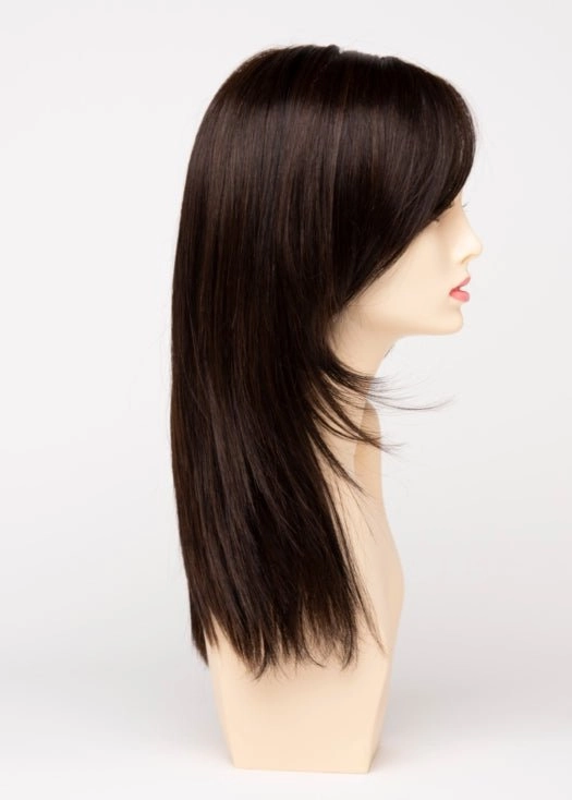 Ava | Lace Front Human Hair/ Synthetic Blend Wig