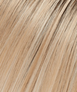 Clair Wig by Jon Renau | Synthetic Lace Front (Mono Top)