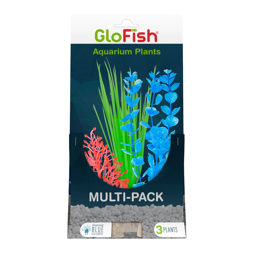 GloFish Multipack Plant 3 count