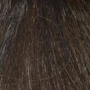 Krista Wig by Envy | Human Hair Blend (Lace Front Mono Top)