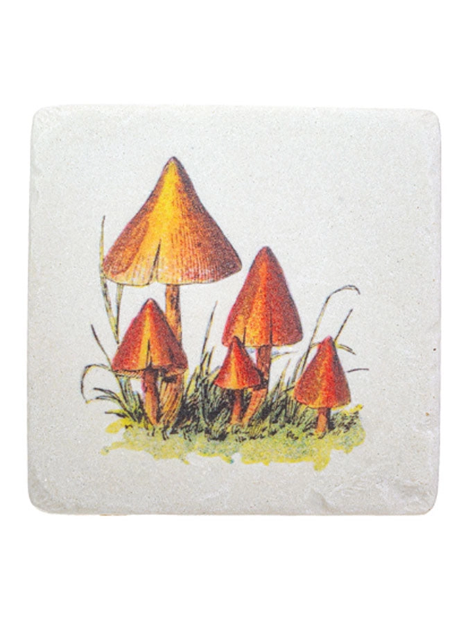 Vintage mushroom coasters
