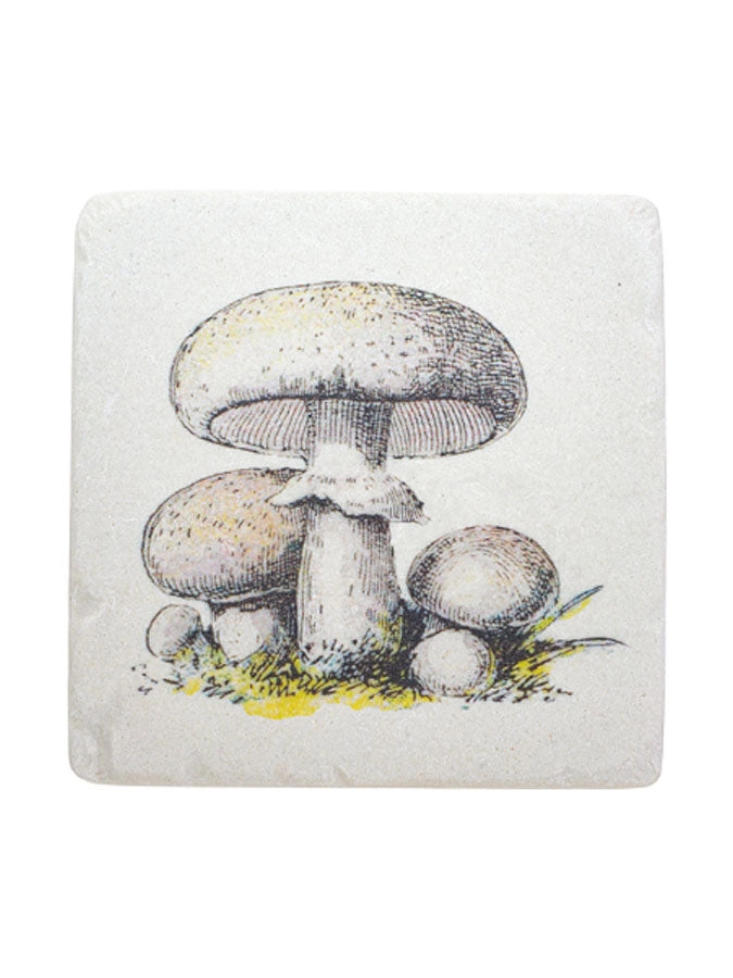 Vintage mushroom coasters