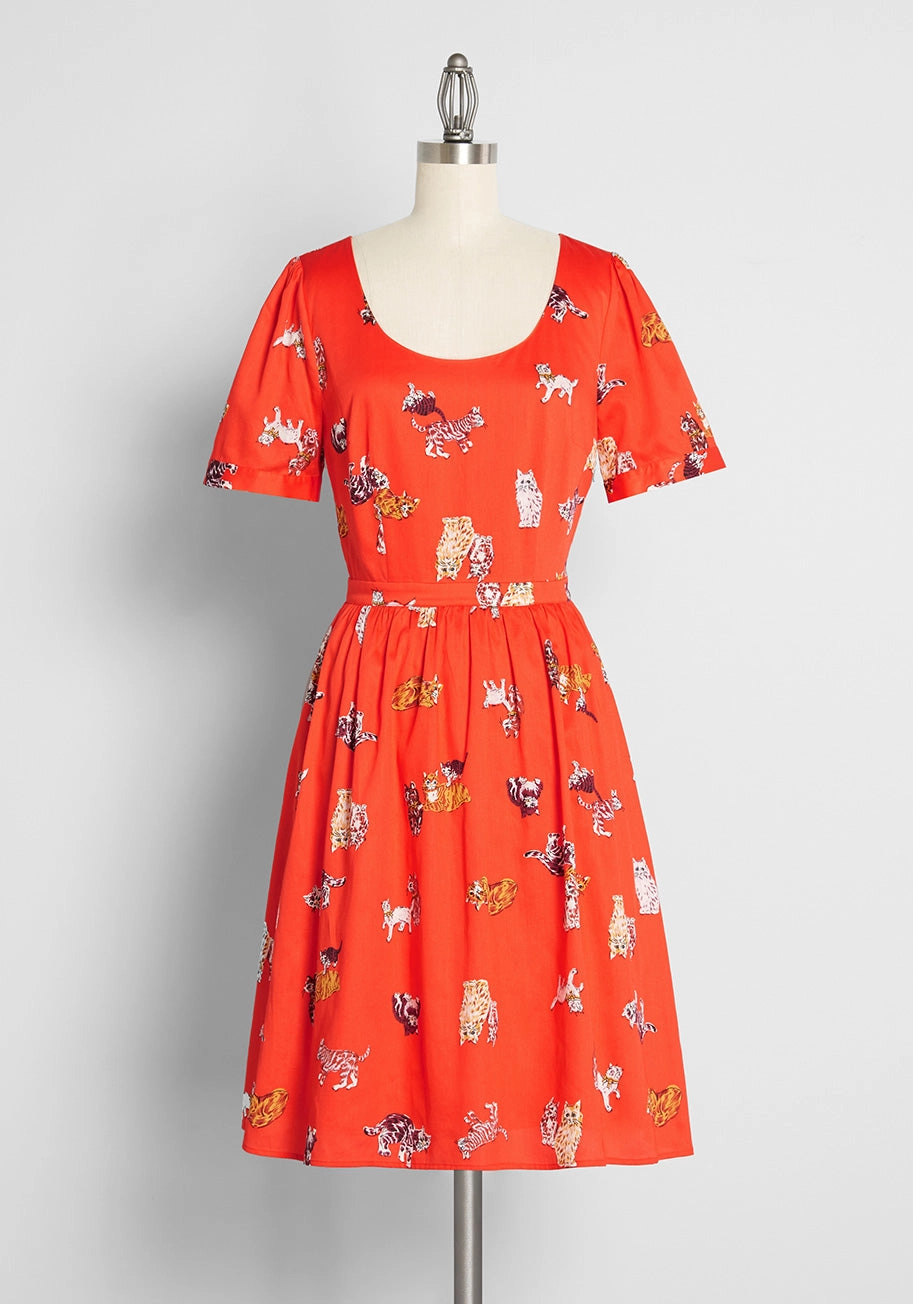 What's the Scoop? A-Line Dress