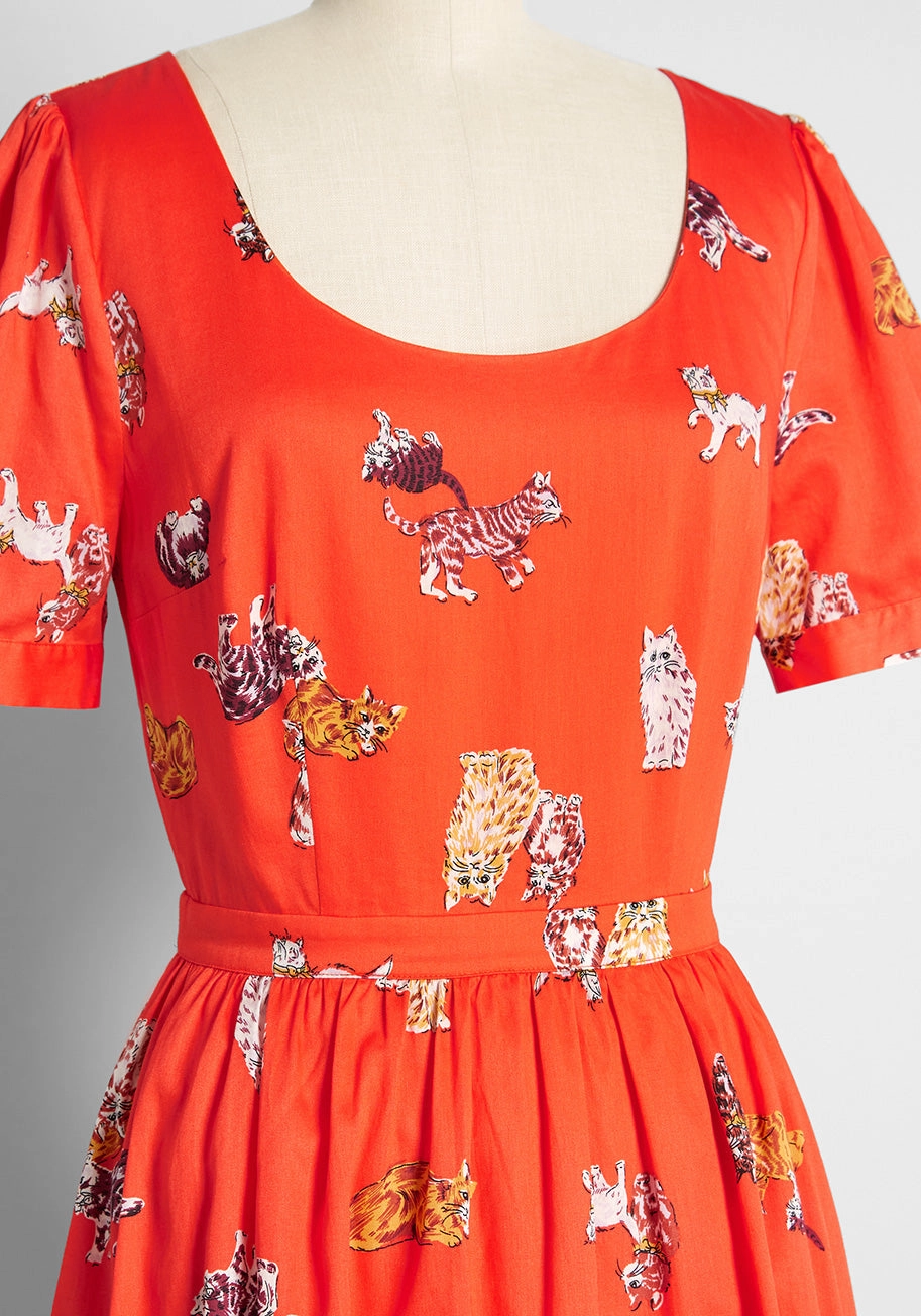 What's the Scoop? A-Line Dress